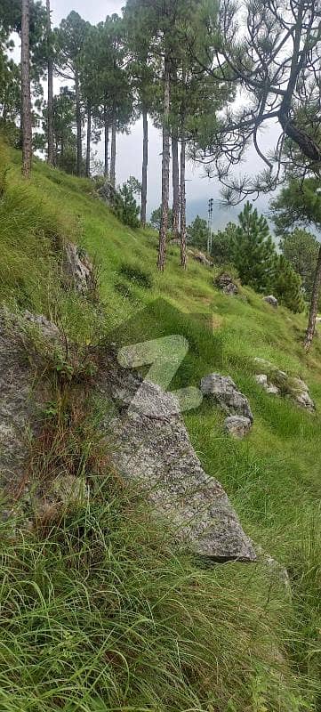 25 Kanal Land For Sale at Thandiyani Road Abbottabad