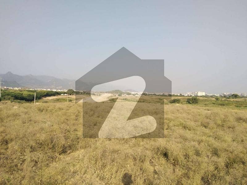 25*50 Plot On Cutting Area In E-12/3