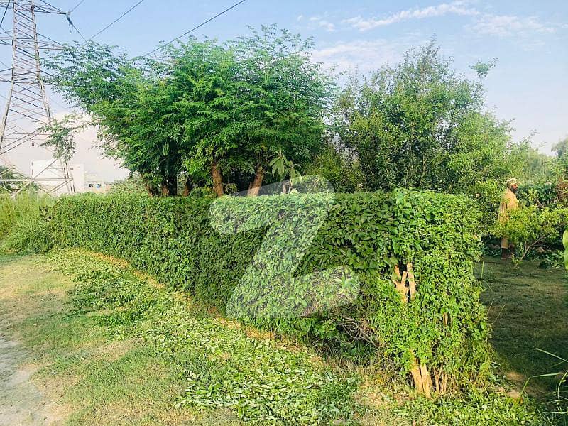 Ideal Located Plot # 1079 Is Available For Sale Ideal Located Plot # 1079 Is Available For Sale