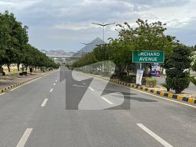 ملٹی ریزیڈنشیا اینڈ آرچرڈز - بلاک سی ملٹی ریزیڈنشیا اینڈ آرچرڈز,اسلام آباد میں 5 کنال رہائشی پلاٹ 2.75 کروڑ میں برائے فروخت۔