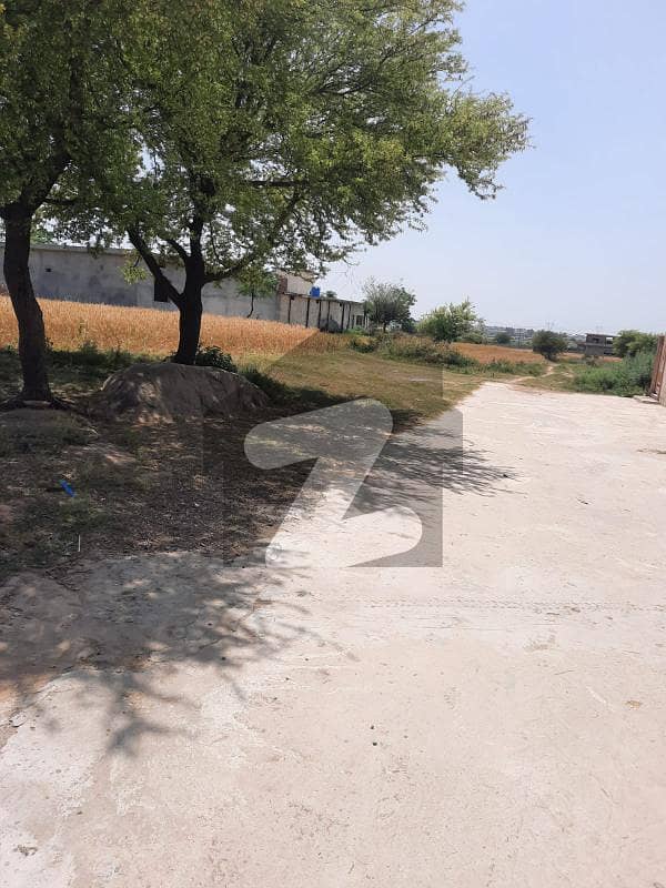 8 Kanal Land For Sale 8 Kanal Land For Sale