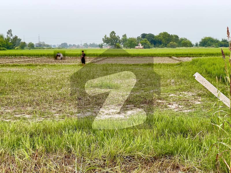 جی ٹی روڈ لاہور میں 20 کنال زرعی زمین 12.0 کروڑ میں برائے فروخت۔