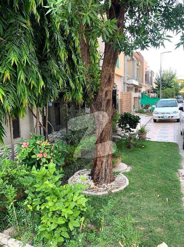 Furnished Five Marla House In Bahria Town Lahore Furnished Five Marla House In Bahria Town Lahore