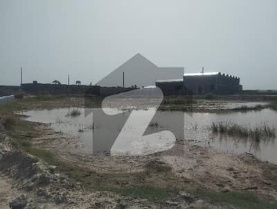 شیخوپورہ روڈ لاہور میں 13 کنال صنعتی زمین 3.9 کروڑ میں برائے فروخت۔