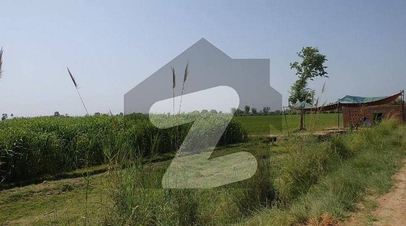 9 acre agricultural land in chanigoth