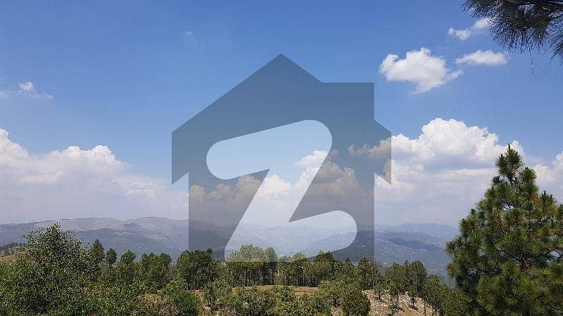 Hill Top 30 Kanal Land For Sale Hill Top 30 Kanal Land For Sale