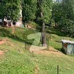 16 Marla Height Location Commercial Plot Near Thq Hospital Murree For Sale