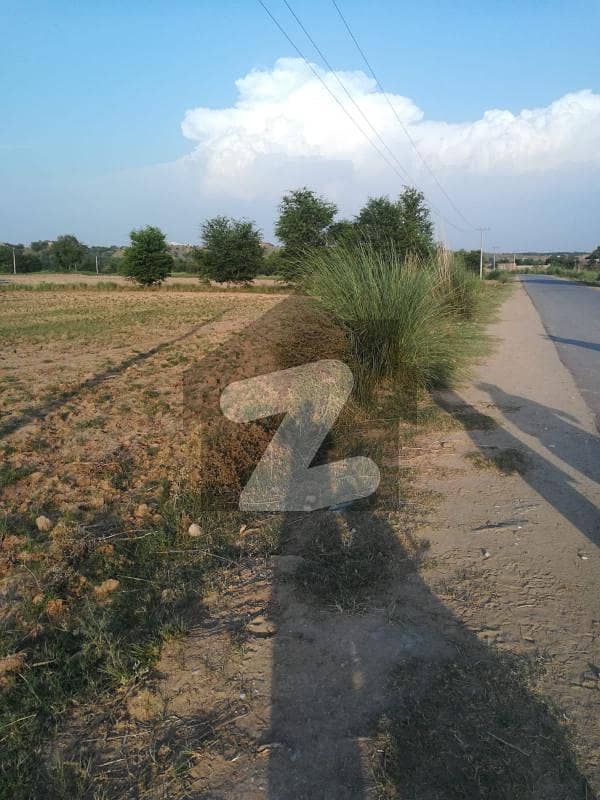 600 kanal agricultural lan for sale on good location front on main gov,t road