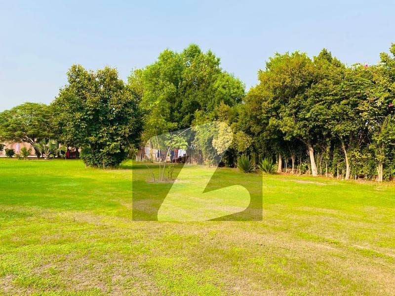 4 Kanal Farm House For Sale Bedian Road 4 Kanal Farm House For Sale Bedian Road