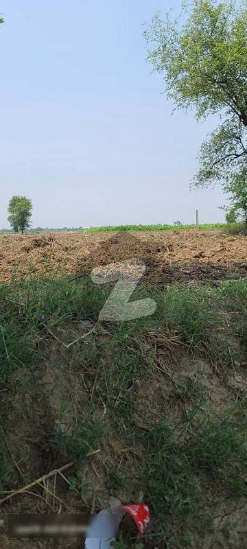 بیدیاں روڈ لاہور میں 28 کنال زرعی زمین 2.1 کروڑ میں برائے فروخت۔