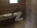 41 