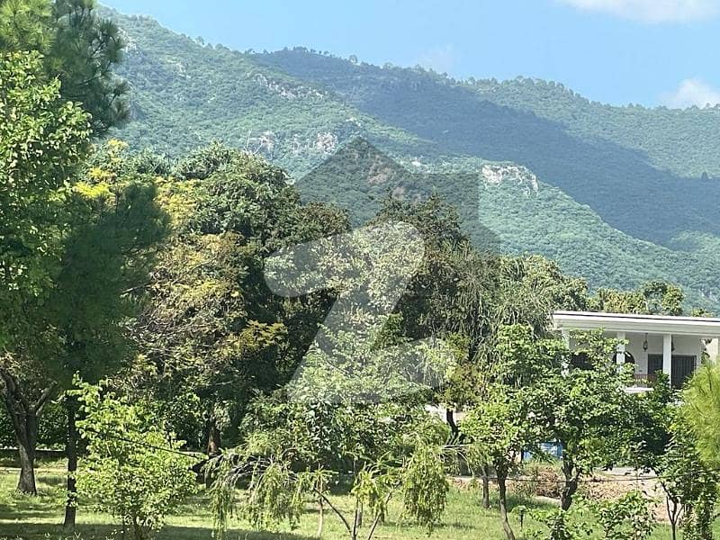 A Residential Plot At Affordable Price Awaits You A Residential Plot At Affordable Price Awaits You