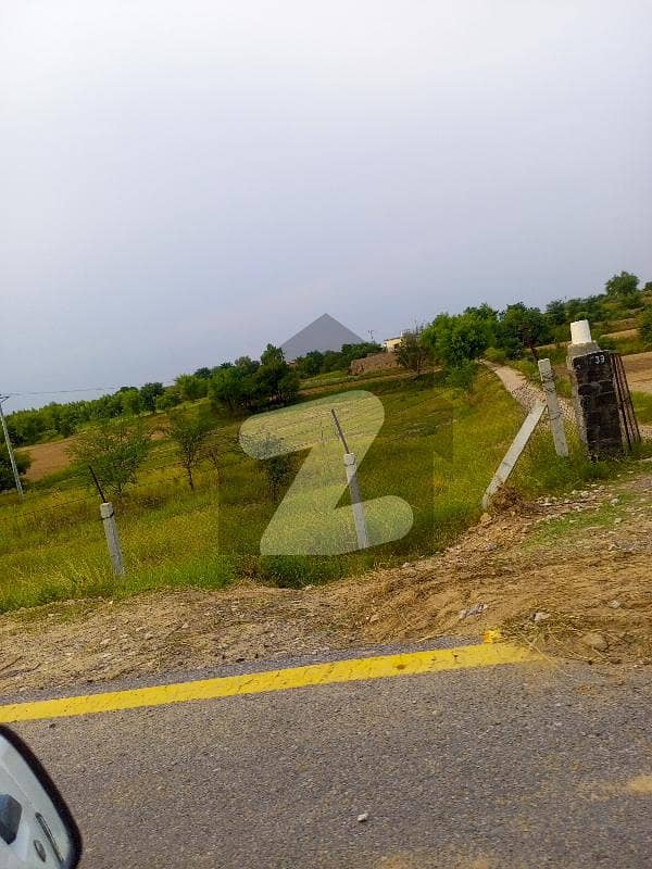 5 kanal agricultural land for sale in dullah Neela Dullah Interchange M2, Lahore Islamabad