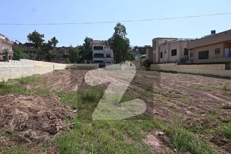 Corner Plot For Sale In Spring Valley 90x216 By Asco Properties.