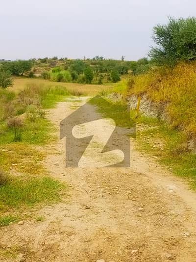 78 Kanal Agriculture Land Sale In Nella Dullah Interchange