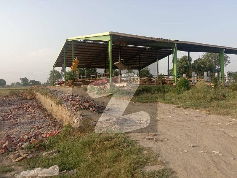 بیدیاں روڈ لاہور میں 160 کنال زرعی زمین 34.0 کروڑ میں برائے فروخت۔