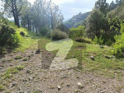 Land For On Main Road Pir Sohawa Near By Pine City