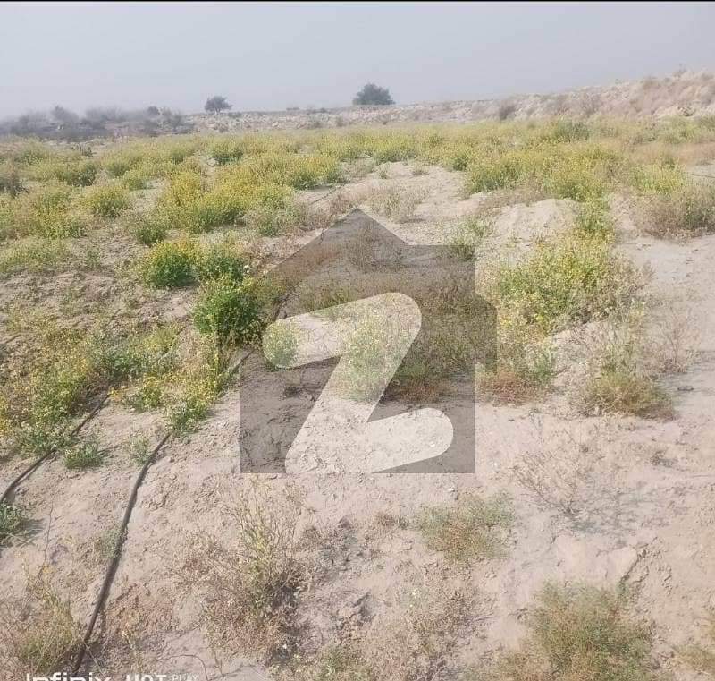 220 Kanal Agriculture Land Olive Farm Trees With Solar System And Water Bor And Tank For Sale