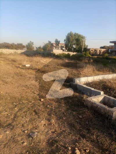 One Kanal Plot In Major Makhdoom Society Near Main Margallah Road