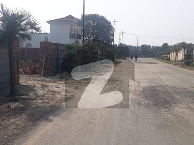 Buying A Residential Plot In Barki Road?