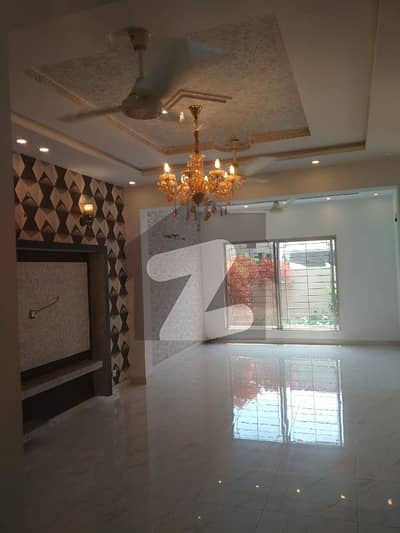 Exclusive Residence 7 Marla Lower Portion Designer Dwelling 1 Bedroom With Tv Lounge And Drawing Room