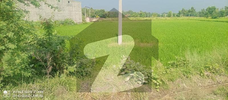 70 Kanal Agricultural Land For Sale In Sheikhupura Muridke Road