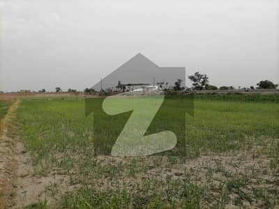 Get This Amazing 13 Kanal Commercial Plot Available In Jaranwala Road