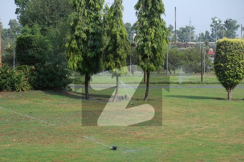 1 Kanal Gray Structure For Sale In Punjab University Phase 1