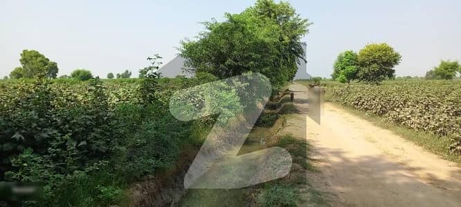 صادق آباد - رحیم یار خان روڈ رحیم یار خان میں 32 کنال زرعی زمین 1.12 کروڑ میں برائے فروخت۔