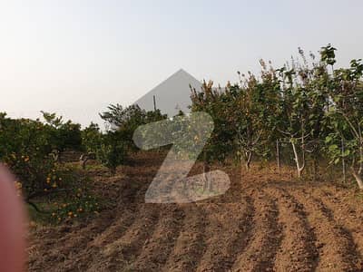 Wakefield Gardens Khanpur Road, Taxila 8 Kanal Farmhouse Available for Sale at Prime Location