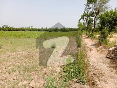Agriculture Land Sale Urgent