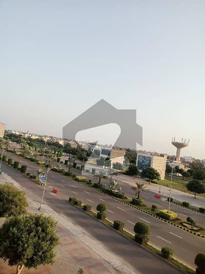 نیو