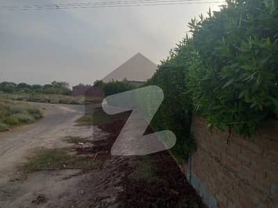 32 Marla Mini Farm House With Mini Swimming Pool For Sale At Main Bypass Road