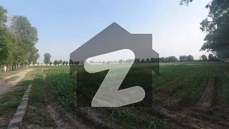 Land for sale main raiwind road Lahore Land for sale main raiwind road Lahore