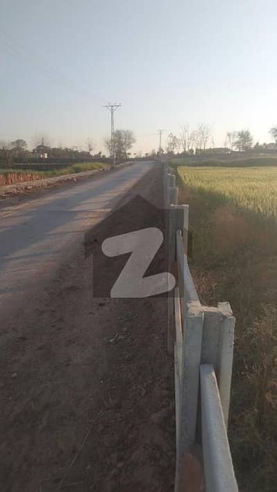 12.5 knal plot with 400 feet boundary 6 km far from ring road beautiful location for farm house