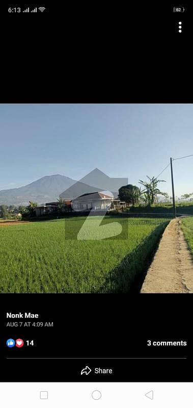 90 Kanal Agricultural Land for sale in Rora