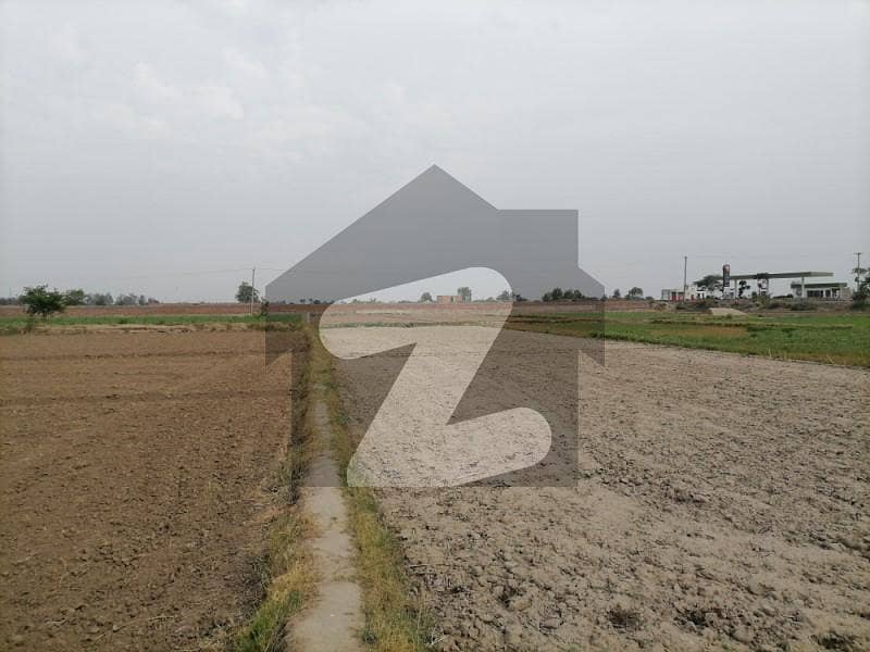 13 Kanal Agricultural Land for sale in Jaranwala Road Jaranwala Road