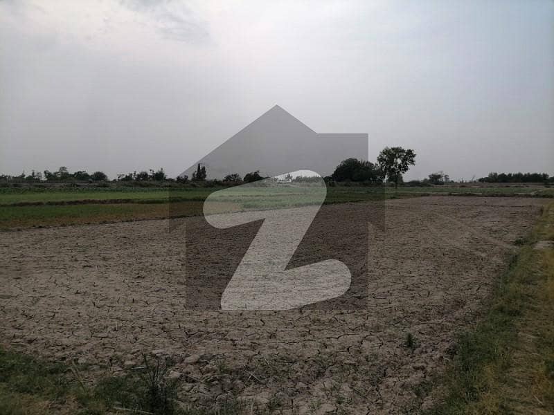 13 Kanal Agricultural Land for sale in Jaranwala Road Jaranwala Road