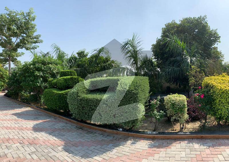 Beautiful 10000 Coverd Area Available For Sale In Barki Road Barki Road