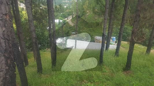 6 Marla Beautiful View Location Plot For Sale At Banda Nabi Abbottabad