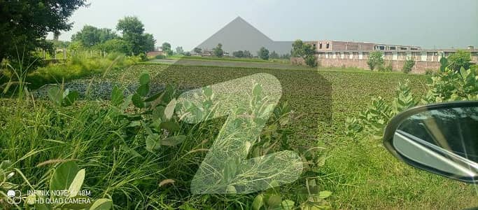 EXCELLENT FERTILE LAND AMONG INDUSTRIES IS FOR SALE