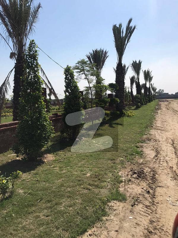 Hurry up!!!! And grab this Golden Opportunity Get possesion of your plot on down payment. 1 kanal Residential farm house for sale In Arabian Farm.