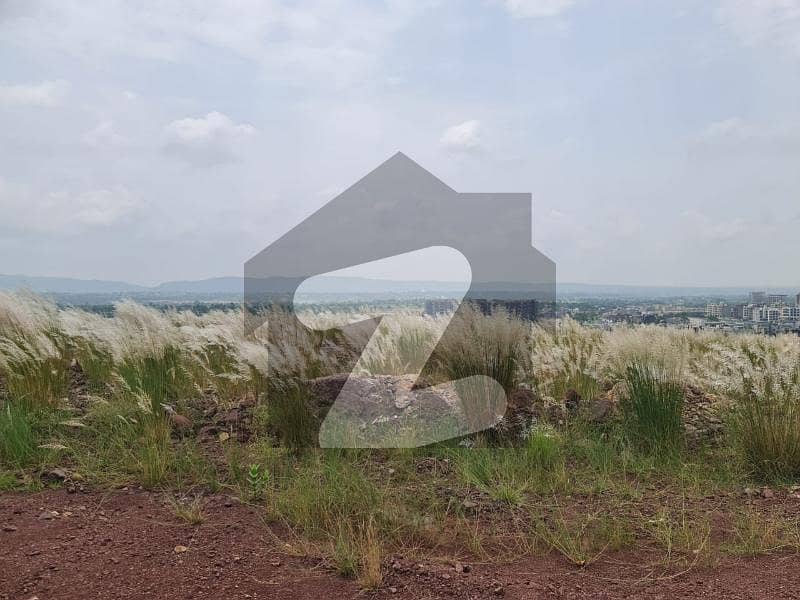 Buy 5 Marla Residential Plot At Highly Affordable Price Buy 5 Marla Residential Plot At Highly Affordable Price