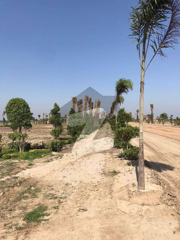 Hurry up!!!! And grab this Golden Opportunity Get possesion of your plot on down payment. 3 Marla single story Residential House for sale In Arabian Farm.
