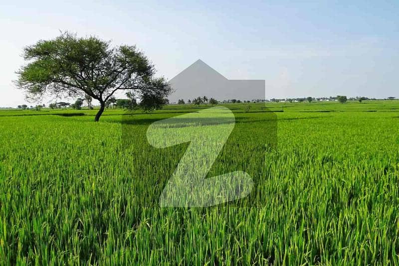 ملتان روڈ لاہور میں 400 کنال زرعی زمین 30.0 لاکھ میں برائے فروخت۔