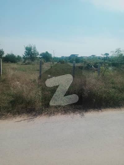 D12/4 500syd Plot For Sale