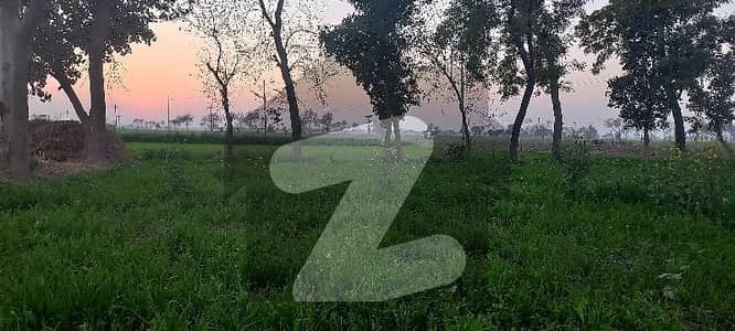گاگا روڈ لاہور میں 1 کنال زرعی زمین 22.0 لاکھ میں برائے فروخت۔