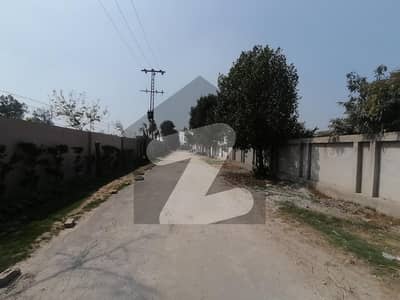 Ready To Buy A Commercial Plot 5 Kanal In Lahore