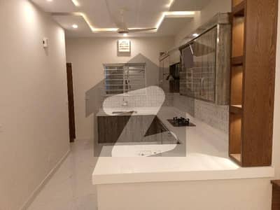 Brand New House For Rent In Media Town