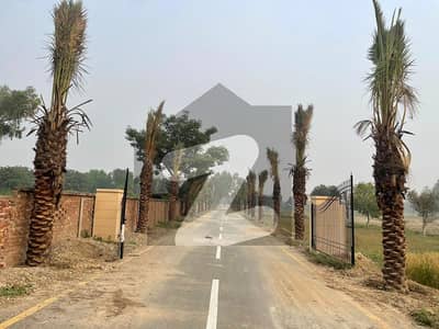 8 Kanal Land Available In Sofia Farms Bedian Road Lahore . Make Your Dream True Adorable Location.